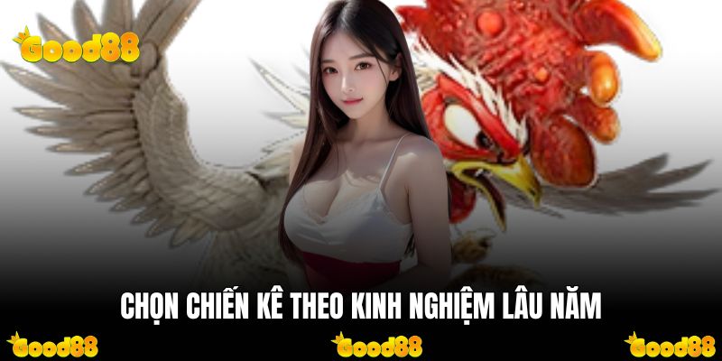Chọn chiến kê theo kinh nghiệm lâu năm