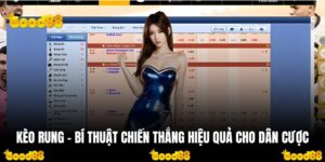 Kèo Rung - Bí Thuật Chiến Thắng Hiệu Quả Cho Dân Cược