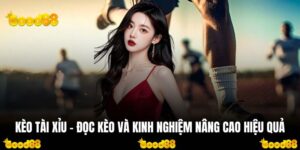 Kèo Tài Xỉu - Đọc Kèo Và Kinh Nghiệm Nâng Cao Hiệu Quả
